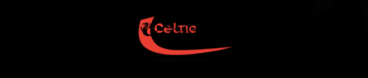 celtic paddles banner